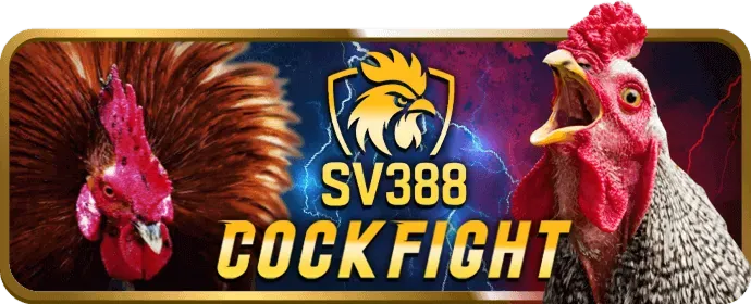 Các trò chơi máy đánh bạc đa dạng tại sking88 win
