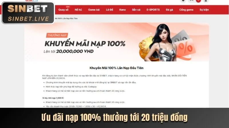 Cập nhật liên tục các chương trình mới